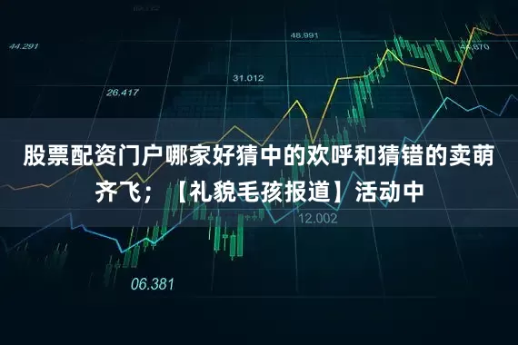 股票配资门户哪家好猜中的欢呼和猜错的卖萌齐飞；【礼貌毛孩报道】活动中