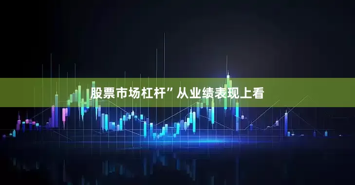 股票市场杠杆”　　从业绩表现上看