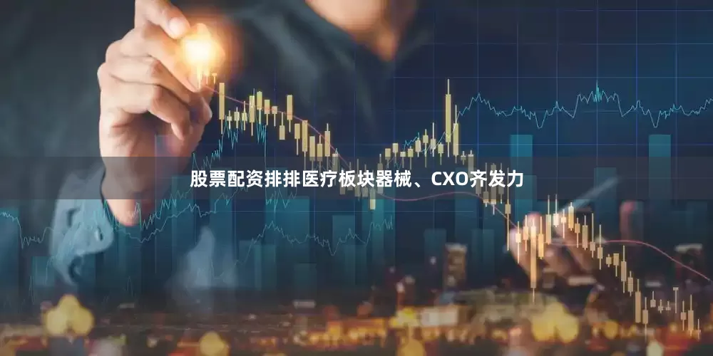 股票配资排排　　医疗板块器械、CXO齐发力