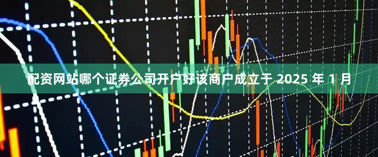 配资网站哪个证券公司开户好该商户成立于 2025 年 1 月